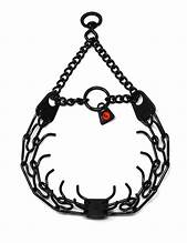 Training Collars