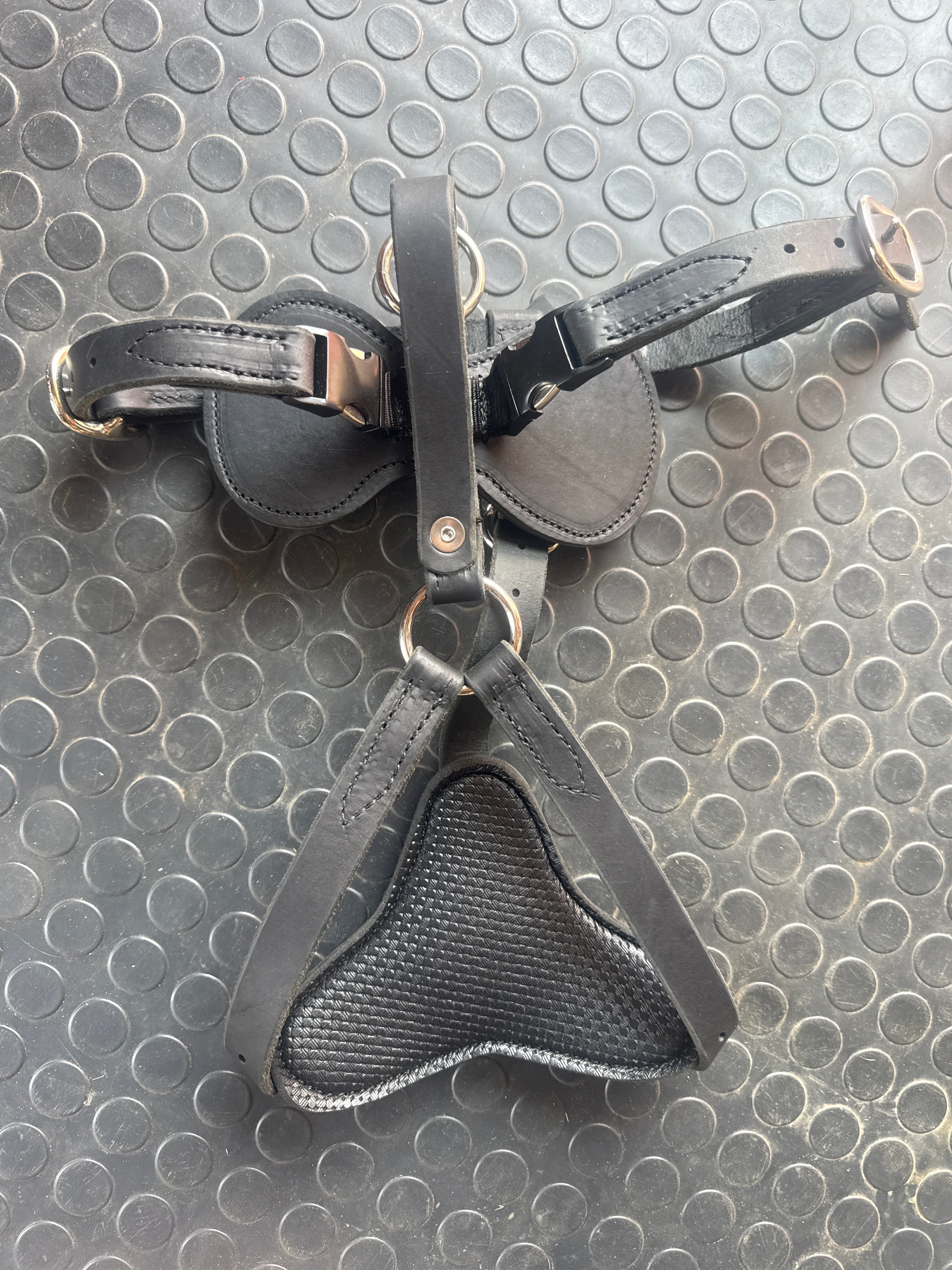 Leather Harness