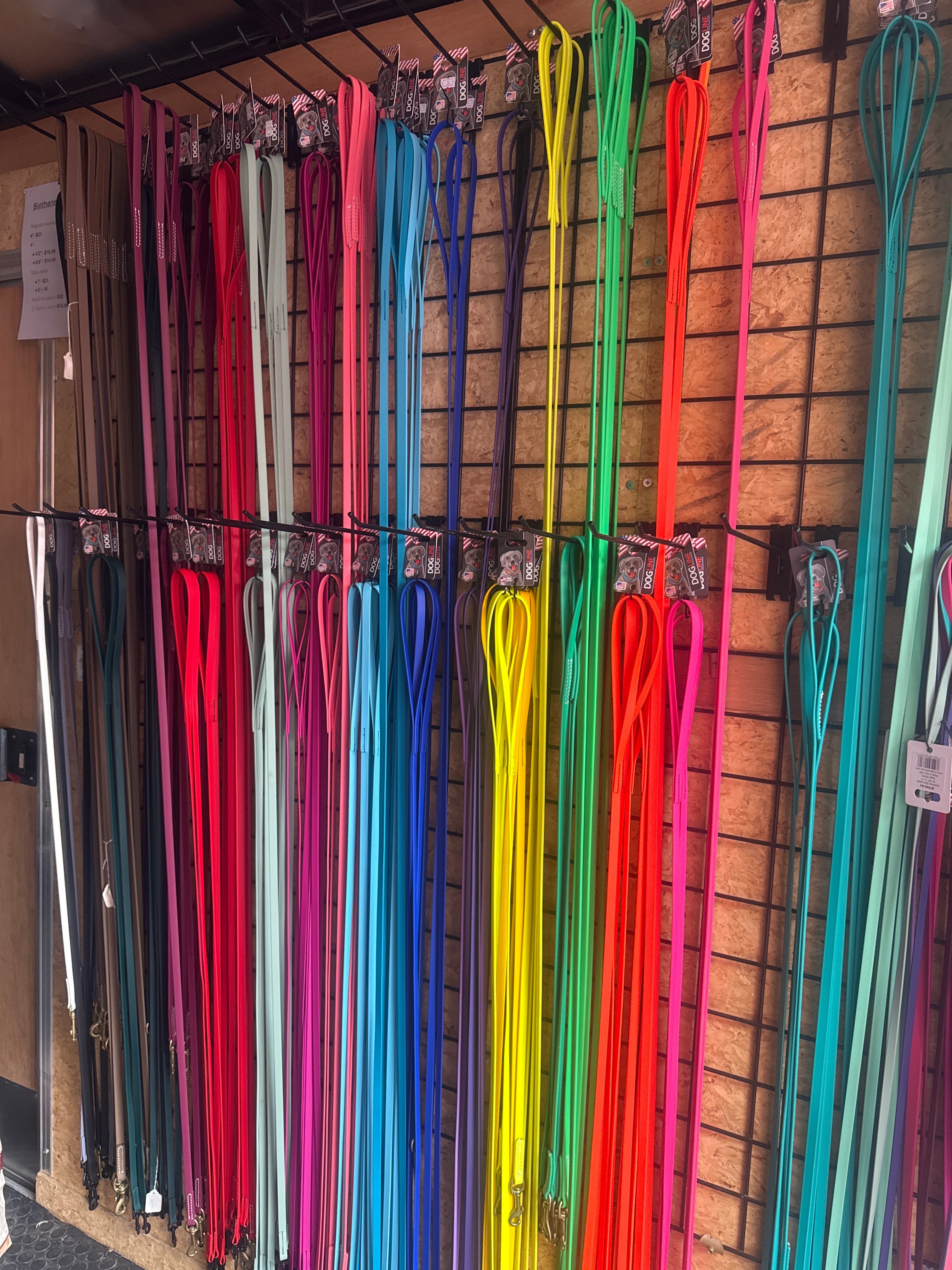 Biothane Leash