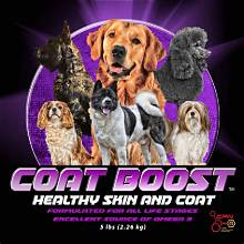 Canine Performance Nutrition Supplements