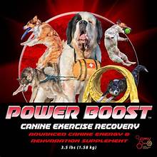 Canine Performance Nutrition Supplements