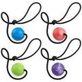 Dogline Euro Ball