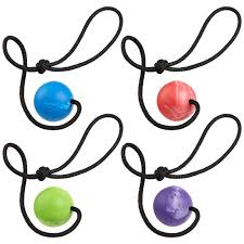 Dogline Euro Ball