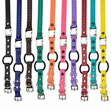 E-Collar Tech Bungee Quick Release Collar