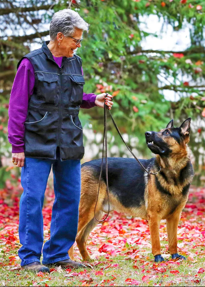 Beginner Obedience W/ Carole